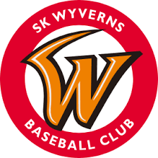 SK와이번스 관련 이미지