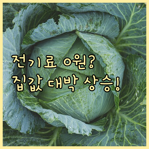 정부 지원 태양광 설치 후 전기 요금..