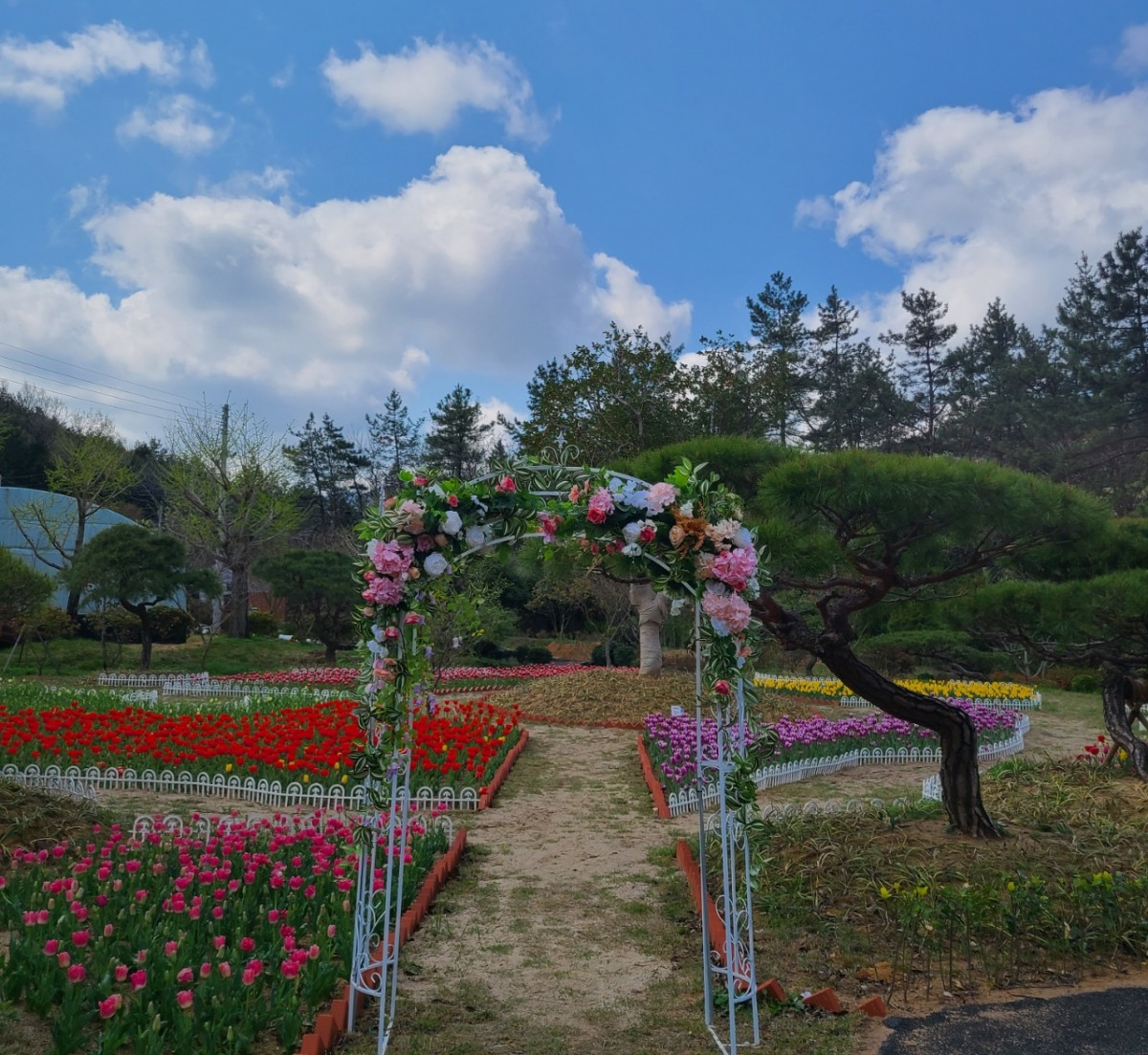 장흥 하늘빛수목원 튤립축제