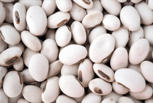 작두콩차 효능05