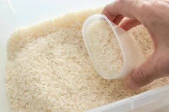 쌀 보관 김치냉장고 벌레 페트병 건식 보관 요령_4
