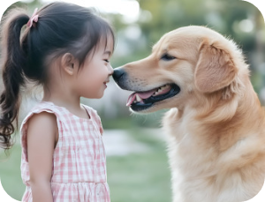 반려견 순찰대 우리 아이 지킴이 이미지 출처:http://www.petrol.or.kr/ 