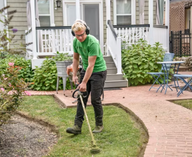 조경기능사에 대하여 알아보기