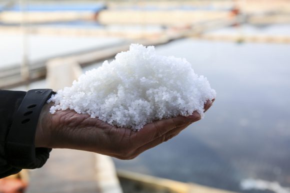 천일염 간수 빼는 방법