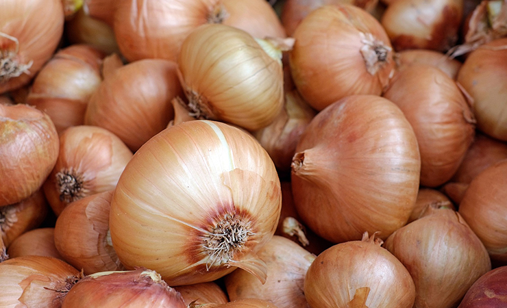 양파
냉장고에 보관하면 안 되는 과일 채소