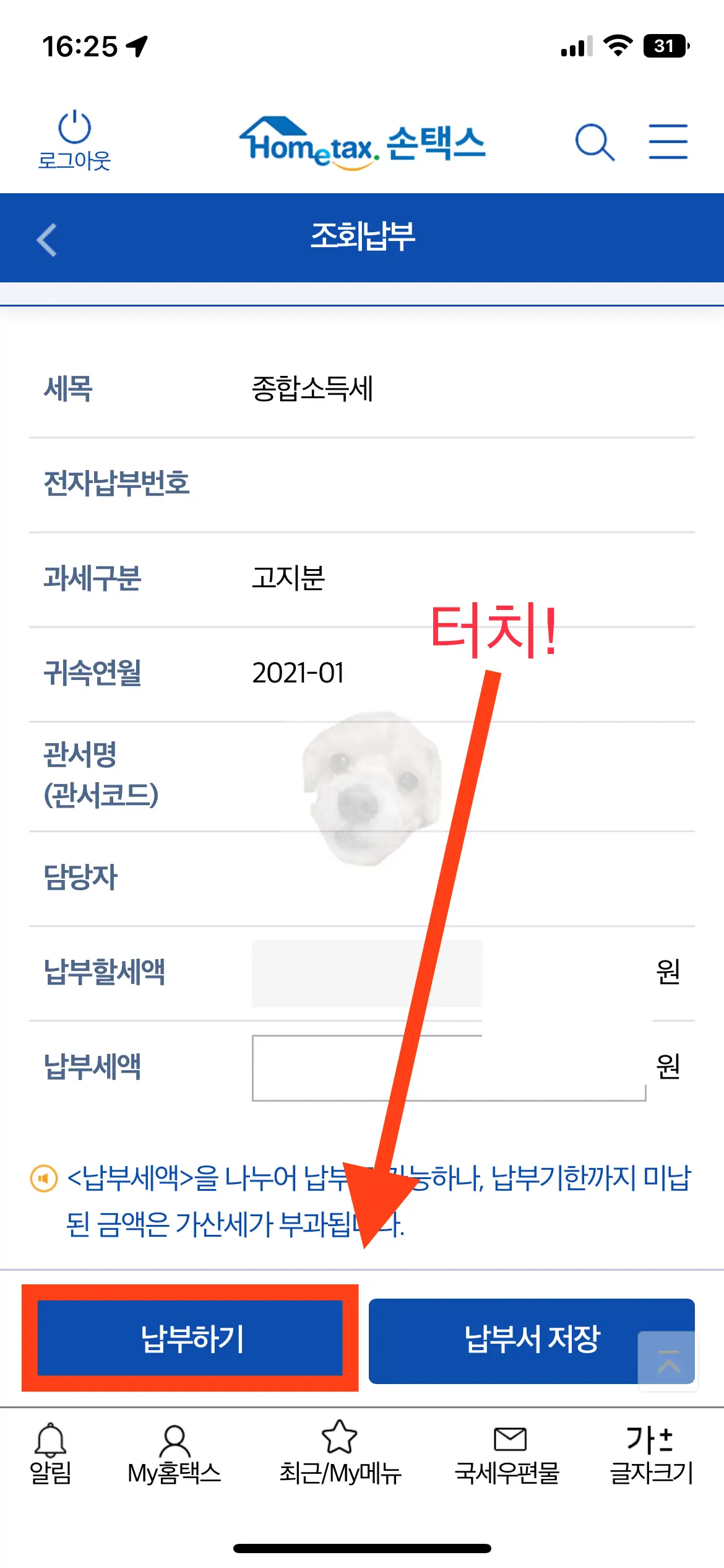 손택스 종소세 납부1