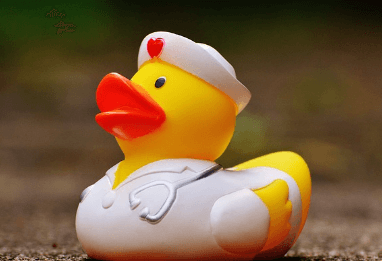 코히 의무교육 온라인 신청방법, 수료증 발급방법