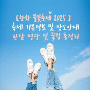 대전에서 이걸 다 본다고요? 2025 한화 불꽃 축제 총정리