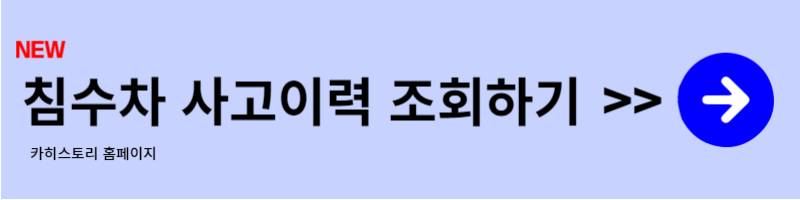 침수차 사고이력