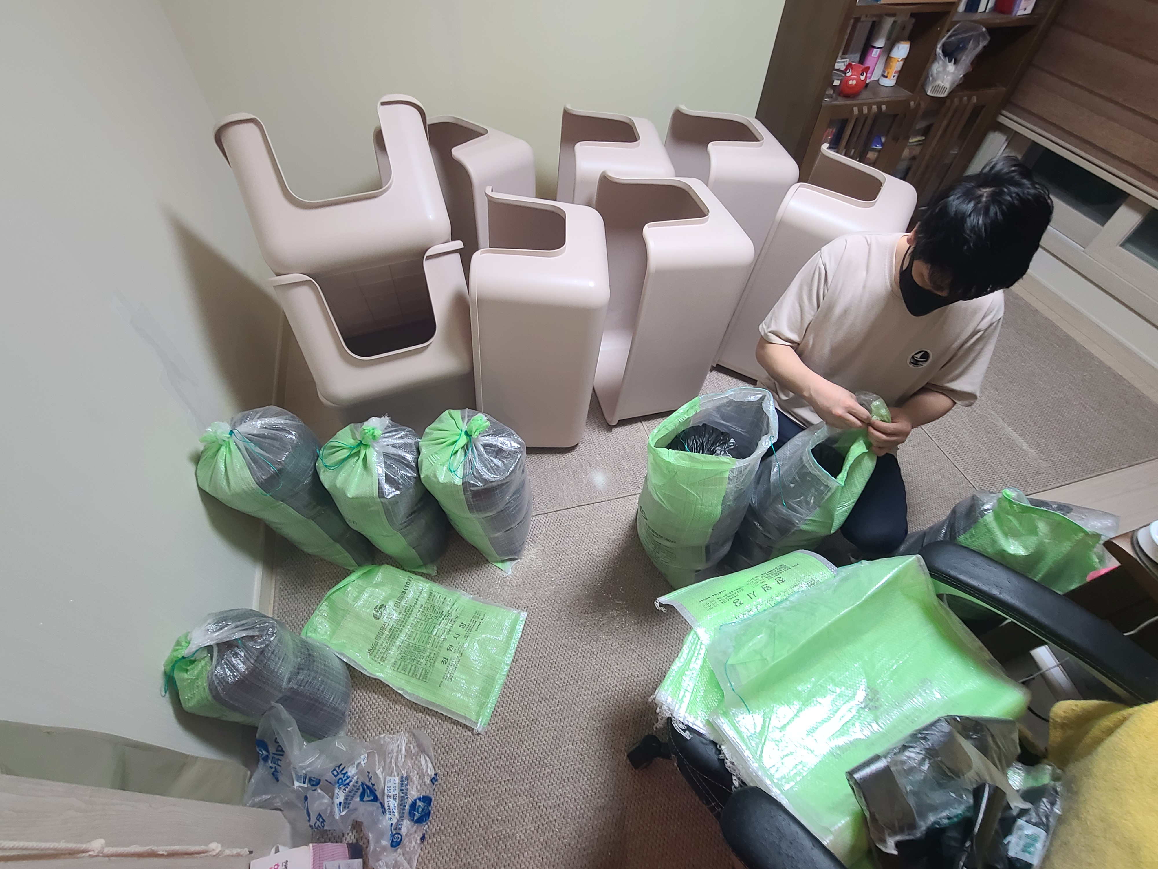 다시 다가온 아홉냥이들 화장실 모래 전체갈이!(feat.써유믹스,바우젠)