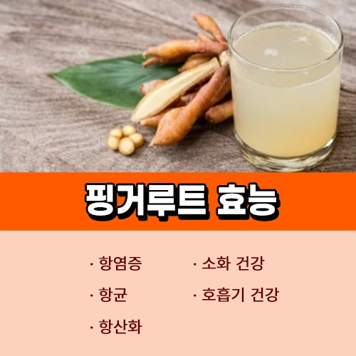 핑거루트 효능