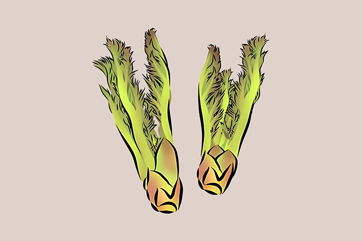 두릅-하루 섭취-권장량