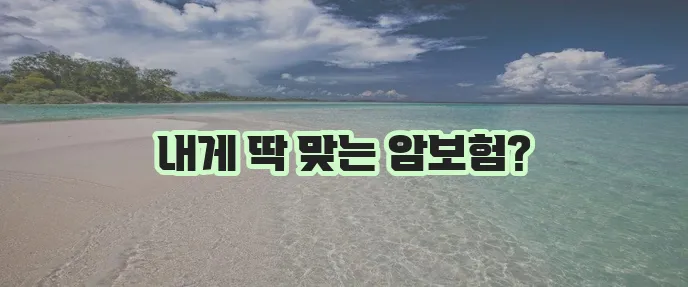 메리츠화재 암보험: 맞춤화된 보장 플랜 구성하기