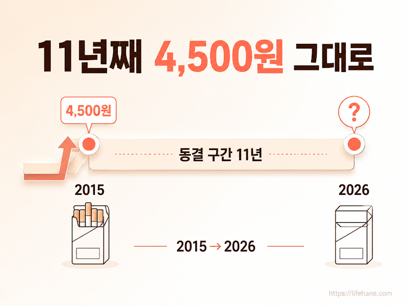 보건복지부 공식 로드맵과 6월 해명자료의 핵심 가이드라인을 정리한 카드뉴스 프로세스 다이어그램
