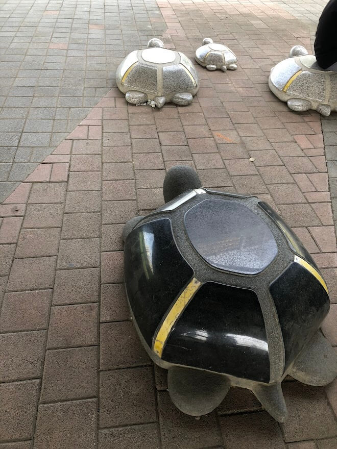 쉼터의 거북이 모양 돌 의자