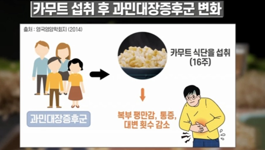 카무트 섭취 후 과민대장증후군 변화