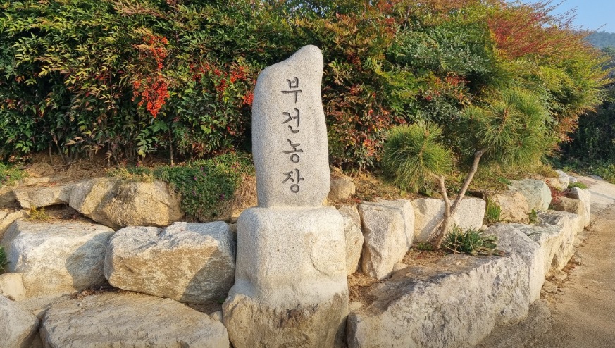 오늘N 이 맛에 산다 부안 부건농장 직거래 농산물 절임배추 고추가루 김장김치재료