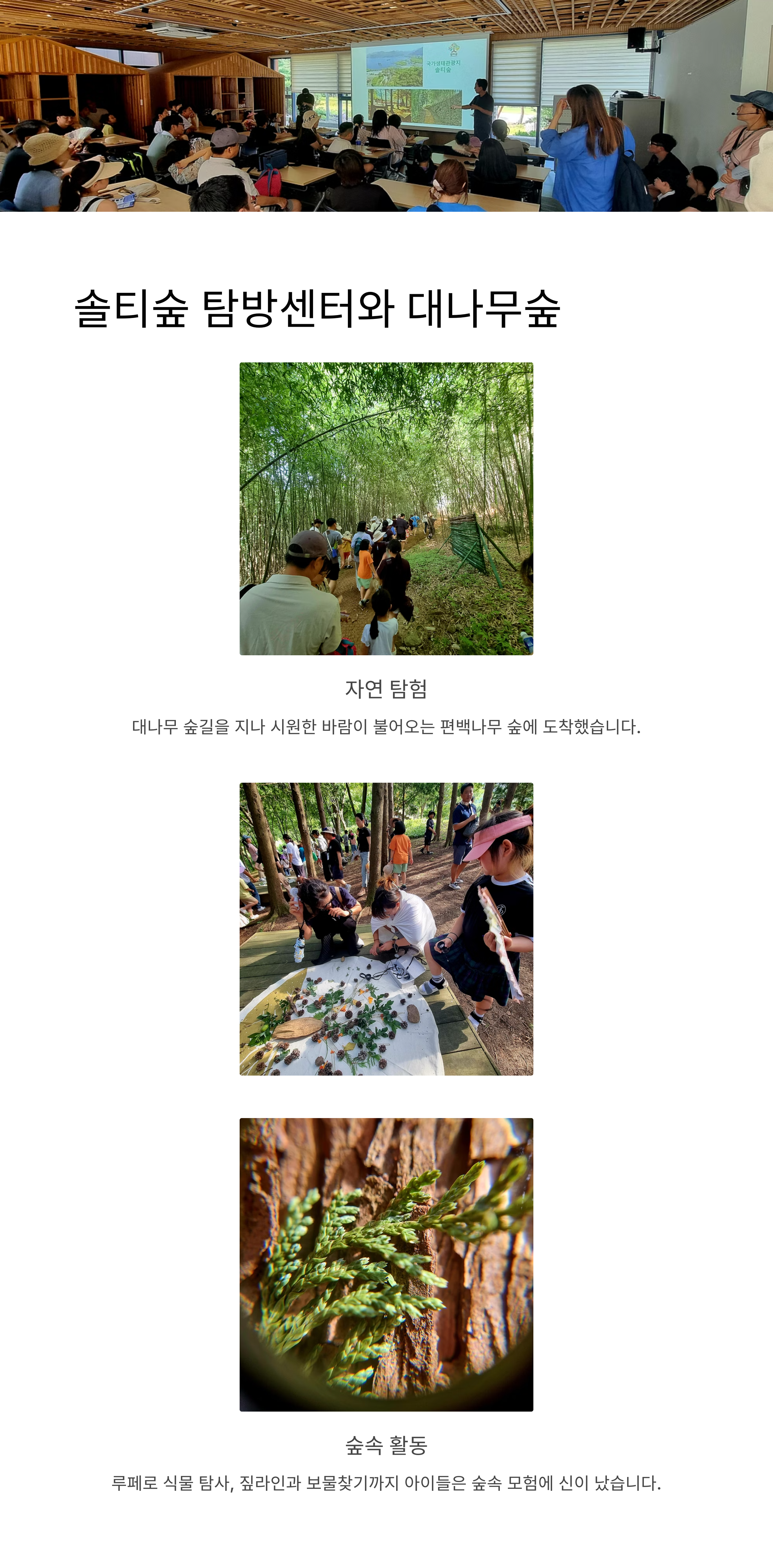 솔티숲 탐험