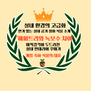 해피트리와 녹보수의 차이점 개업 축하 식물의 대표식물