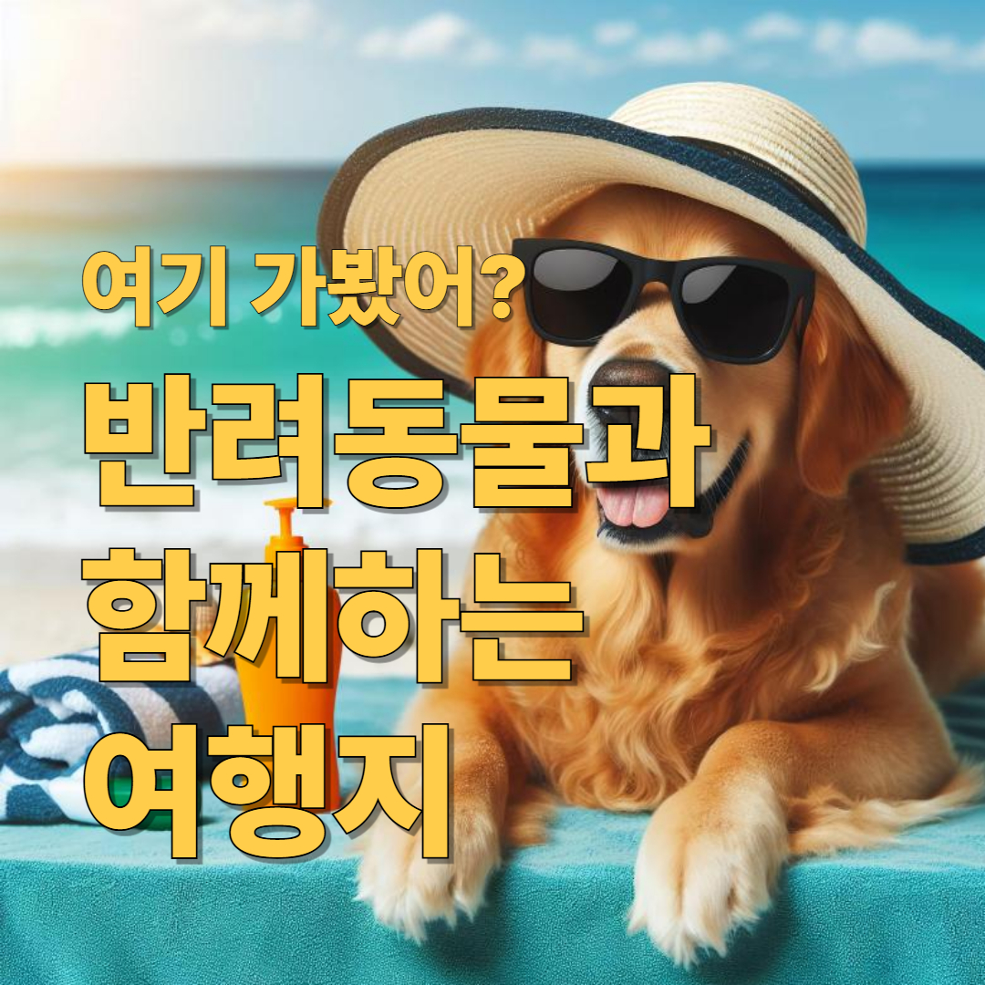 여기 가봤어? 반려동물과 함께하는 여행지 🐕🧳