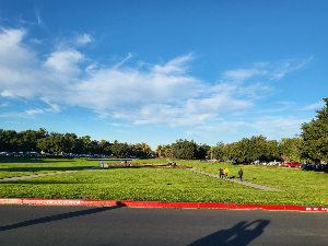 스탠포드대학교 캠퍼스 전경