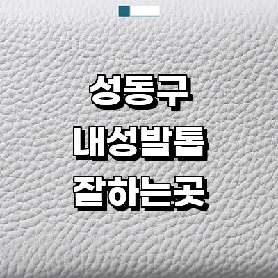 서울 성동구 내성발톱