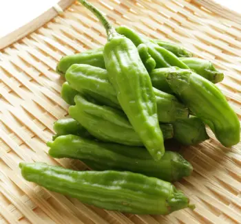 꽈리고추 효능 및 영양소