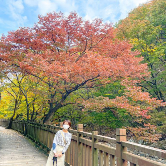 부산-기장-장안사의-붉은단풍나무