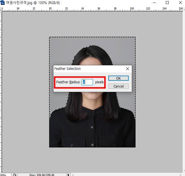 여권 사진 규격 맞추기