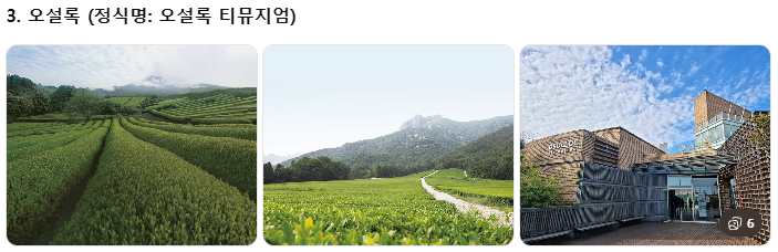 제주 쏠라티&middot;카니발 투어 비교! 기사 포함 제주 승합차투어 요금&middot;코스&middot;후기 총정리