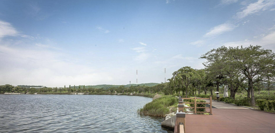 2025년 여름, 전국 해수욕장 운영 일정 안내 (개장일정, 꿀팁 정리!)