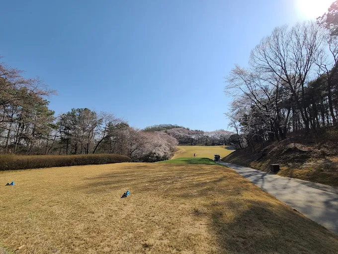 용인 플라자CC 골프장 소개 및 예약방법