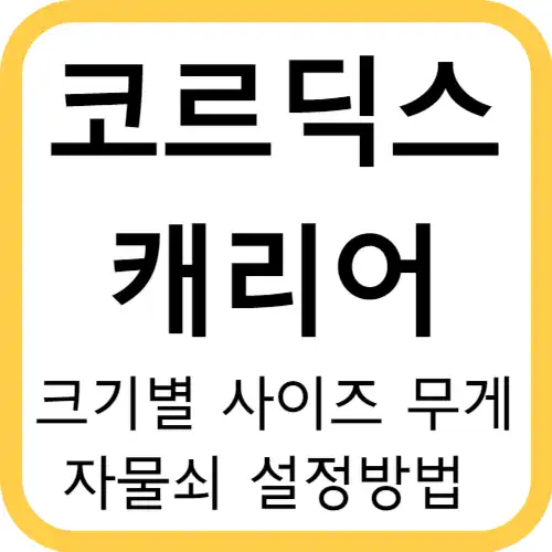 코르딕스캐리어-사이즈무게-썸네일