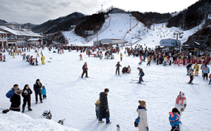 엘리시안 강촌 스키장 사람들
