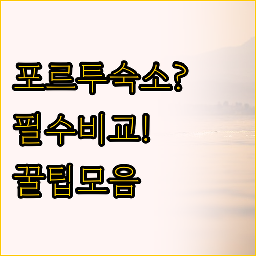 포르투 데 가리냐스 숙소 비교, Po..