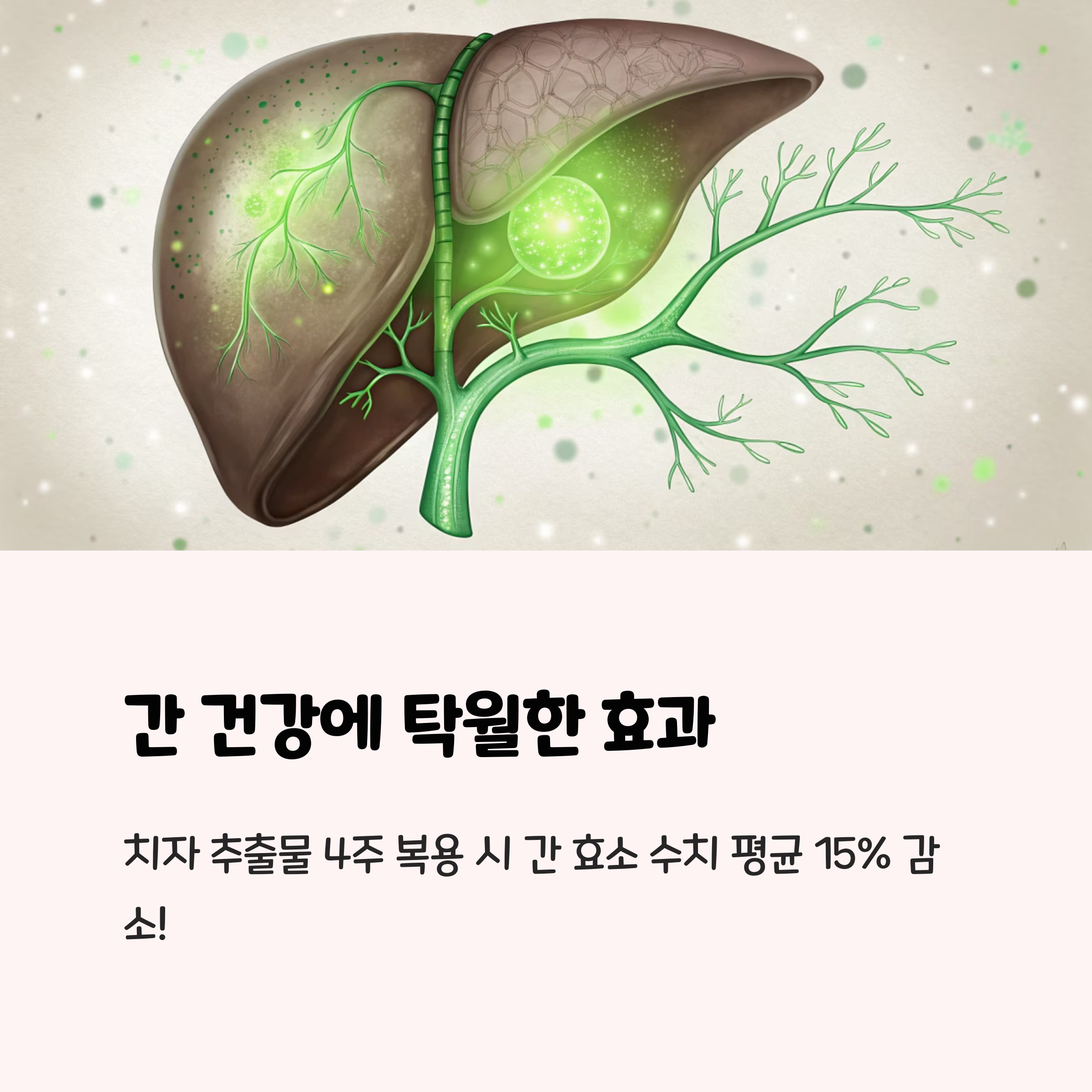 간 기능 개선 및 해독 작용