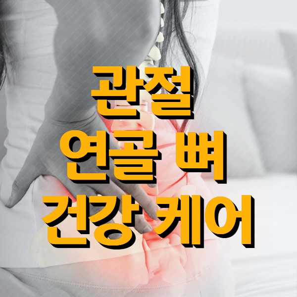 관절 연골 뼈