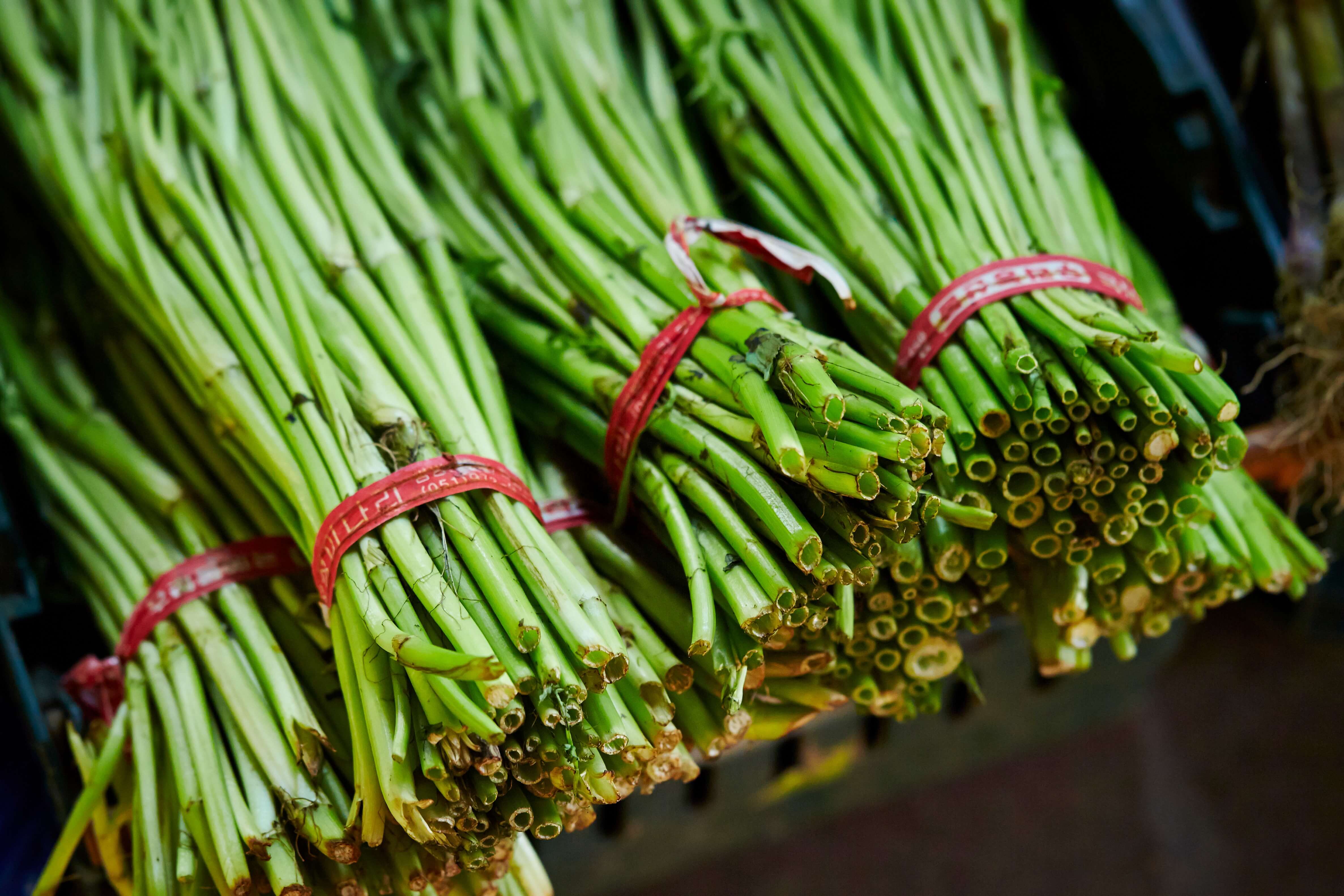 밑동이 잘린 미나리 사진