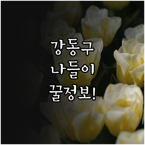 3월 서울 나들이 강동구 주요 명소 ..