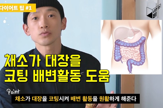 비 다이어트 식단, 다이어트 보조제 g스템마맥스