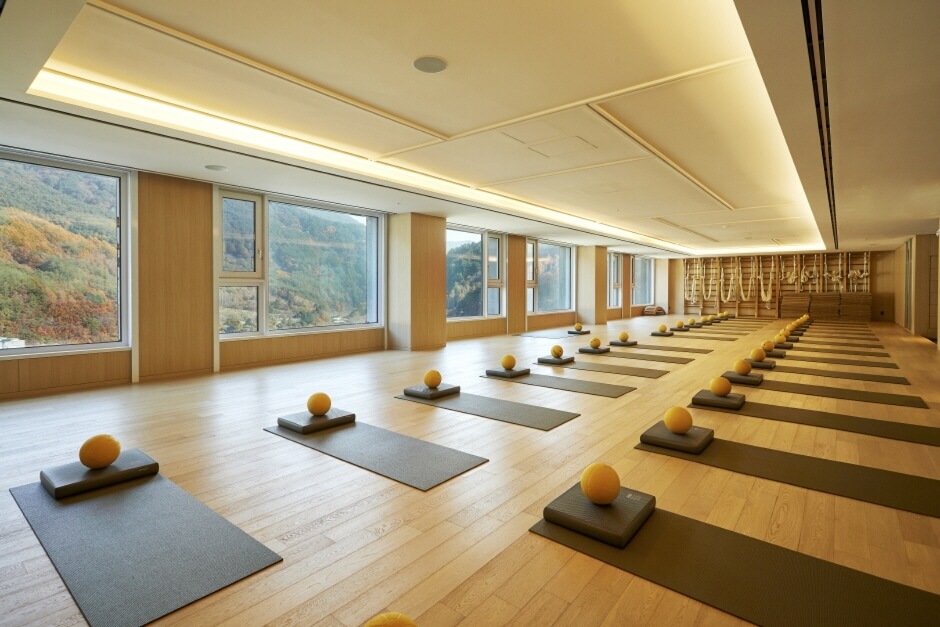 디톡스 여행 추천지_영주 국립산림치유원&amp;#44; 충주 깊은산속 옹달샘&amp;#44; 정선 파크로쉬&amp;#44; 홍천 힐리언스 선마을