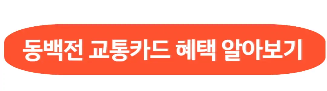동백전 교통카드 혜택 알아보기