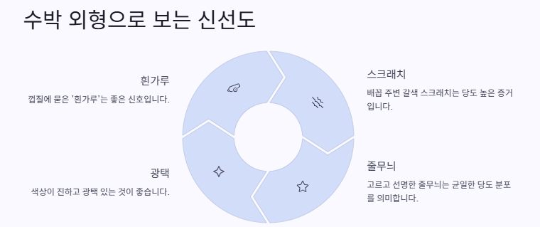 맛있는 수박 고르는 방법: 보관법,효능,화채·주스만드는 법