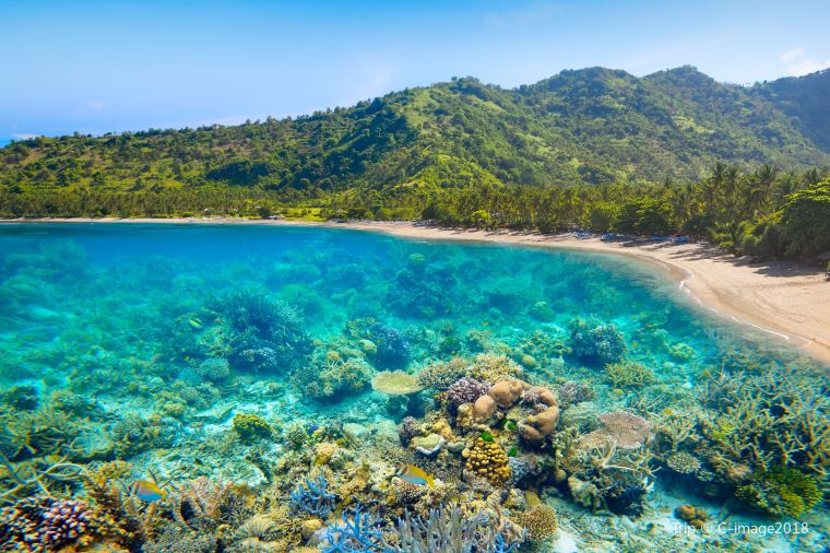 롬복 (Lombok)