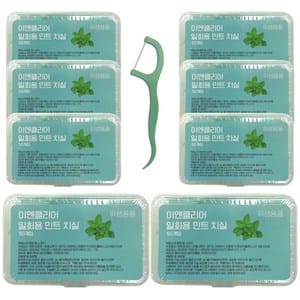 일회용 치실픽 추천 3종 비교 플랙커스 이엔클리어 덴트픽