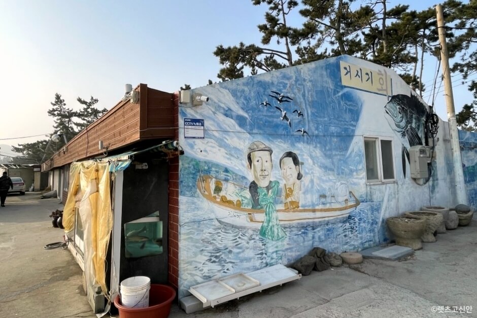 신안 맛집 베스트 5