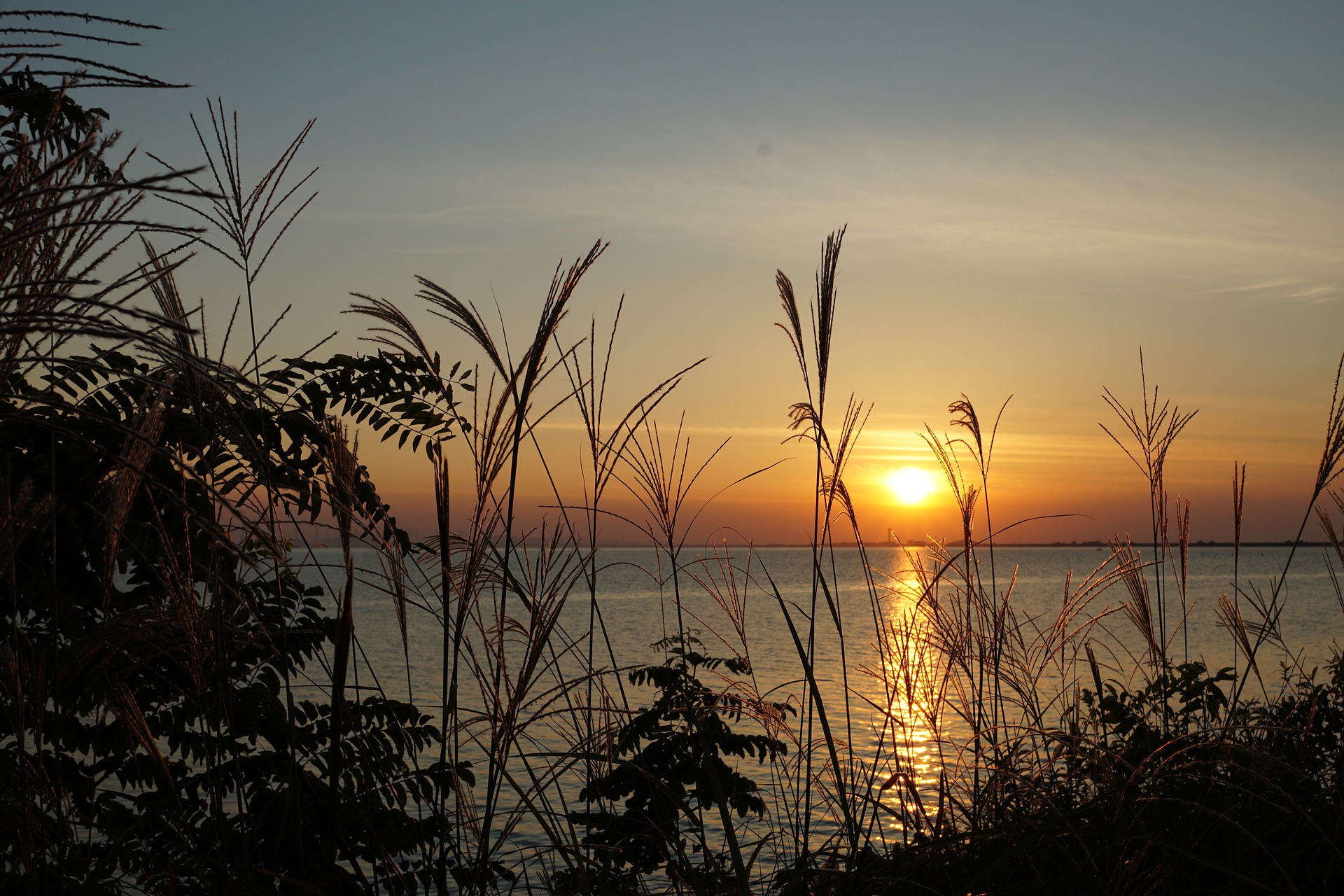 안산 가볼만한 곳
