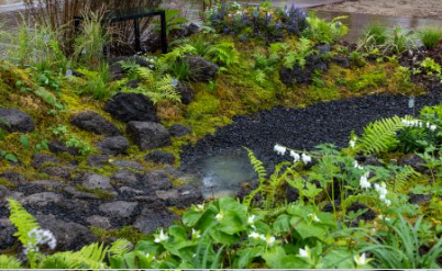 '금상' [학생동행정원5] 숲, 자리의 질서(Order of the Forest and Place)