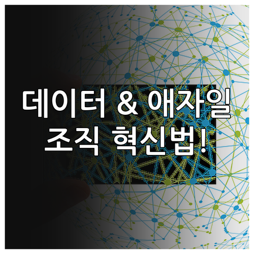 데이터와 애자일 기반 디지털 전환 조..