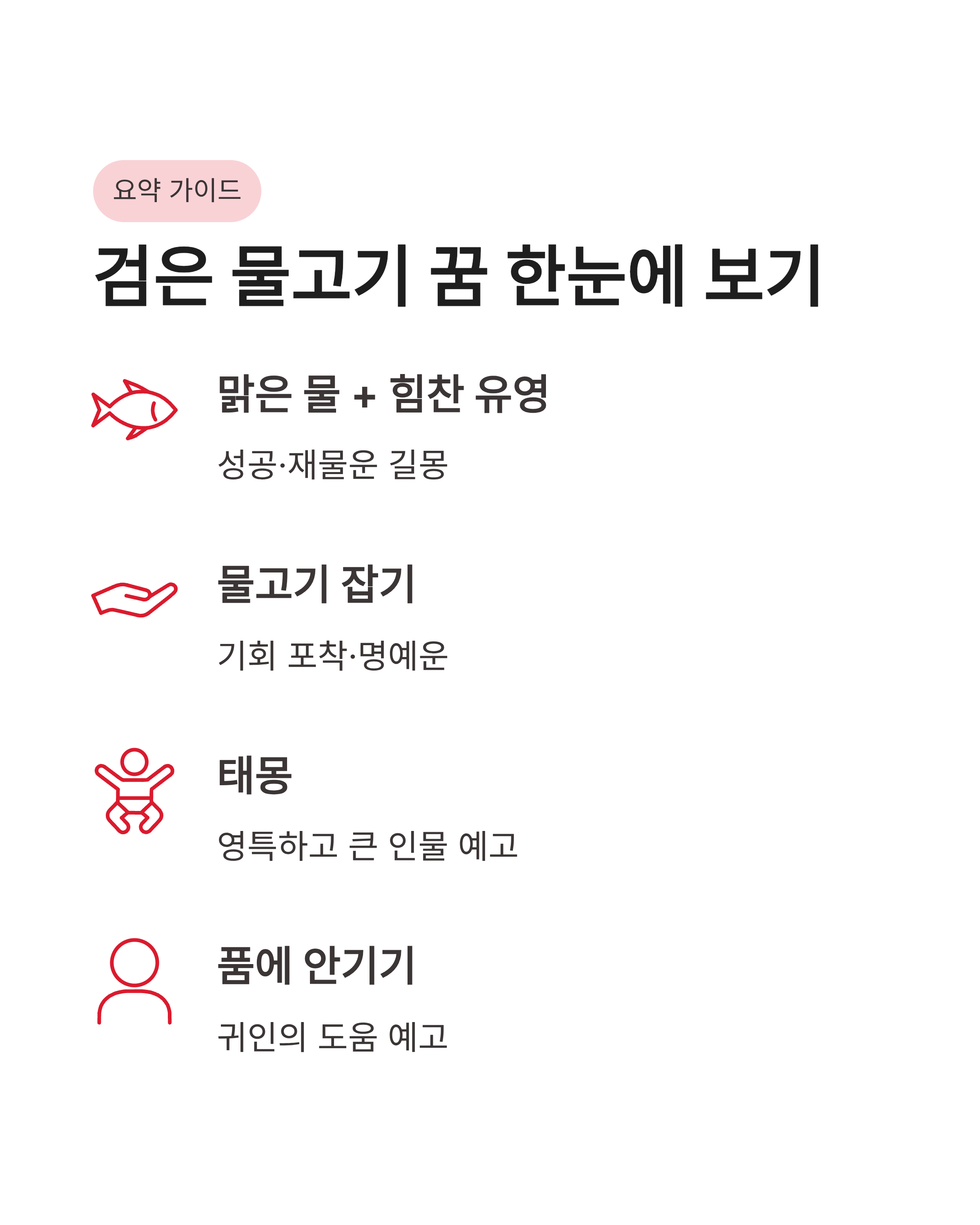 검은 물고기 꿈 해몽, 검은 물고기 태몽, 검은 물고기 꿈 요약 및 운세 가이드